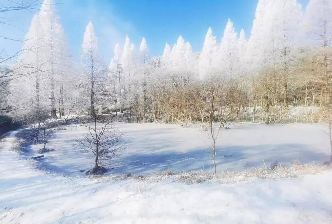 规划接地气 举措落实处(深阅读·推进乡村全面振兴)