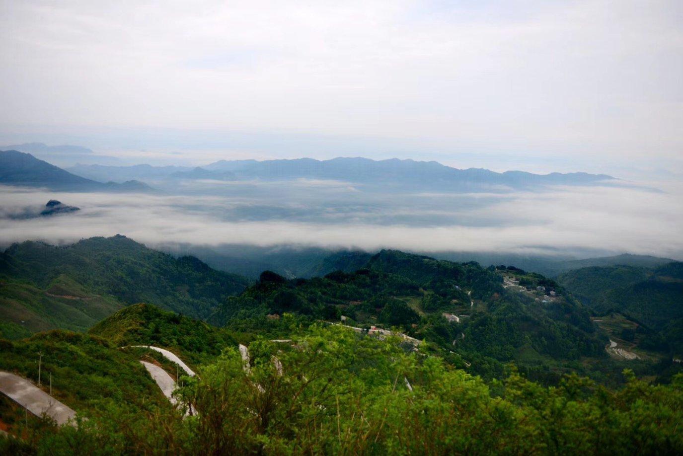高级定制