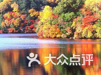 圣灵觉醒