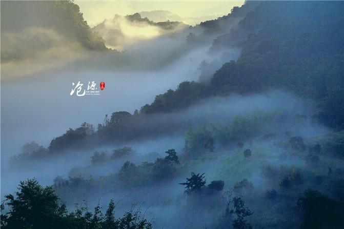 小猫钓鱼游戏龙王版有船