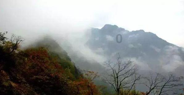 中组部、团中央第24批赴渝博士服务团行前培训会召开