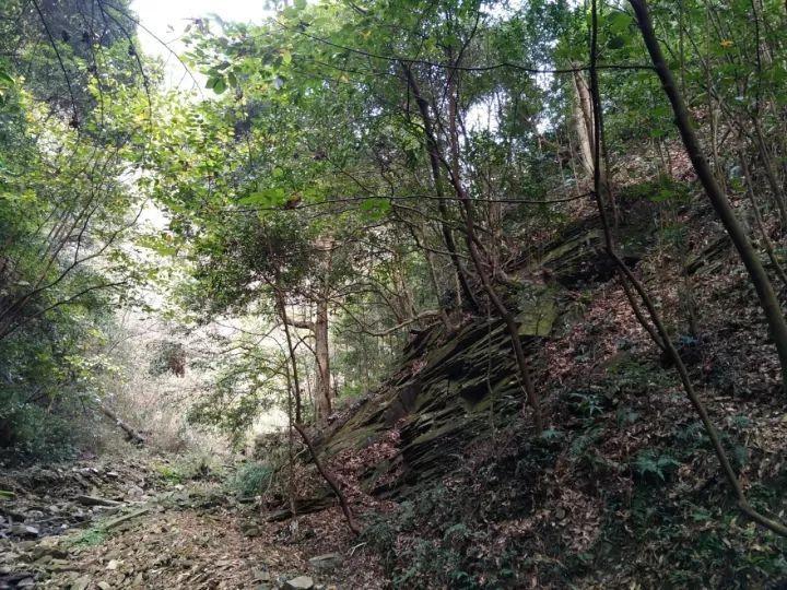 逃离冰淇淋屋