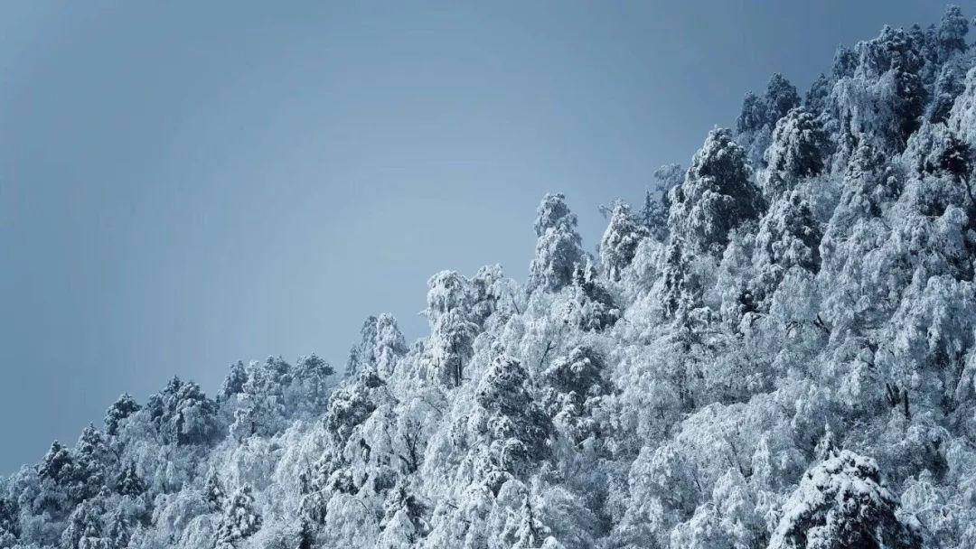 魂斗罗：归来