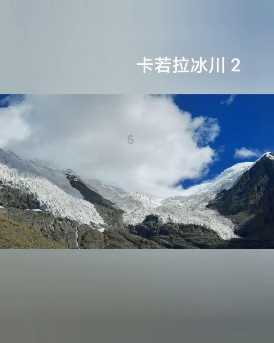探讨分享,尽在植物神经紊乱会遗传吗?