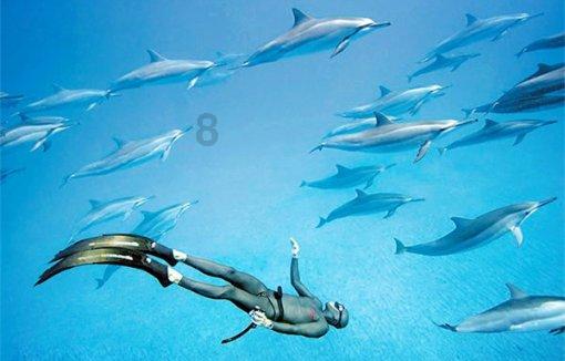 想知道好的减肥方法？游戏画面