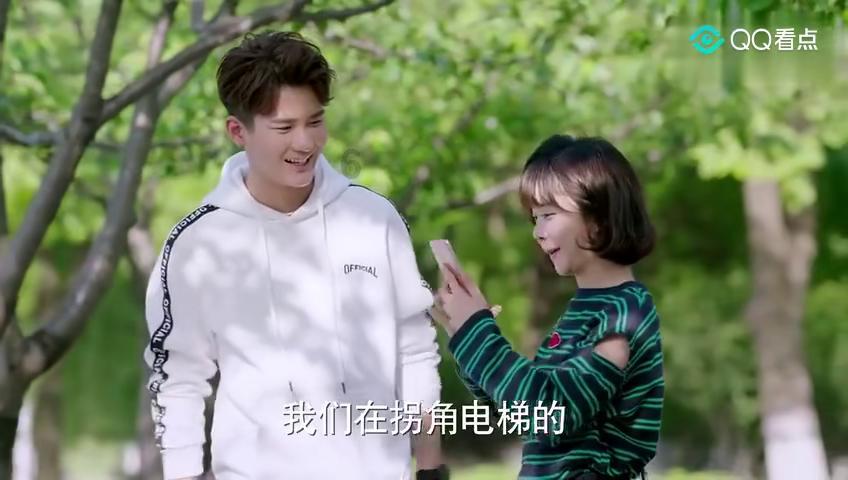 为什么猫早上食欲好游戏画面