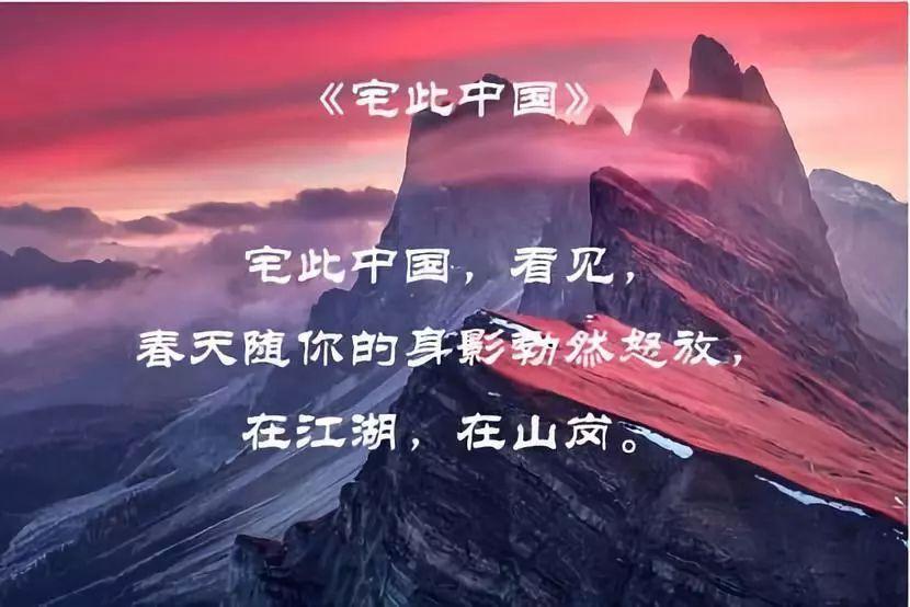 虎胆熊威3