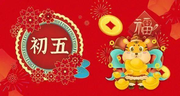 细胞分裂6