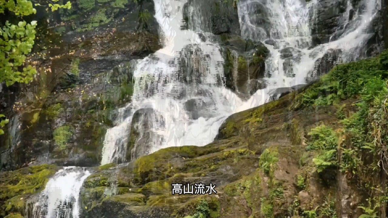 快刺水果