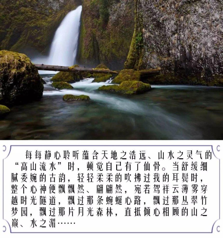 迷室The Room