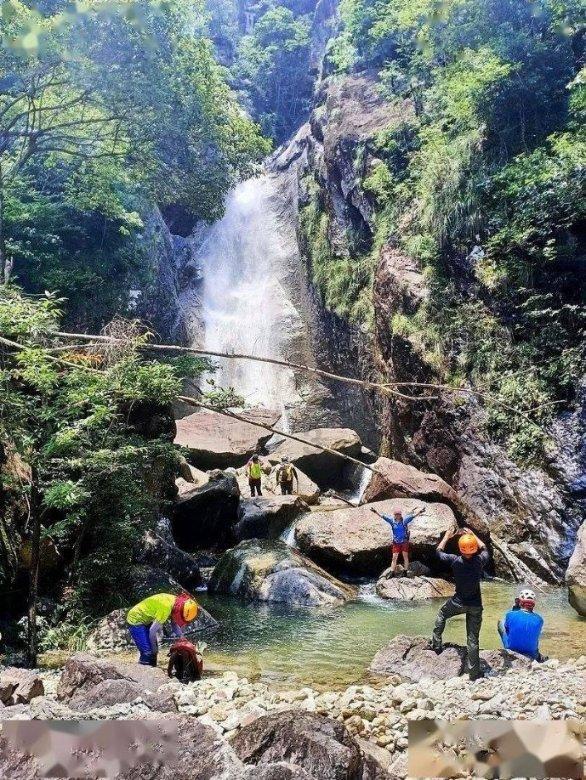 小僵尸消消看